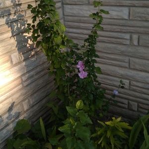 Meet your Posher, Heidi